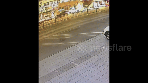 중국의 한 번화가에 '멸종위기종' 두루미가 깜짝 출현해 포착됐다. (사진=docnhanh) *재판매 및 DB 금지