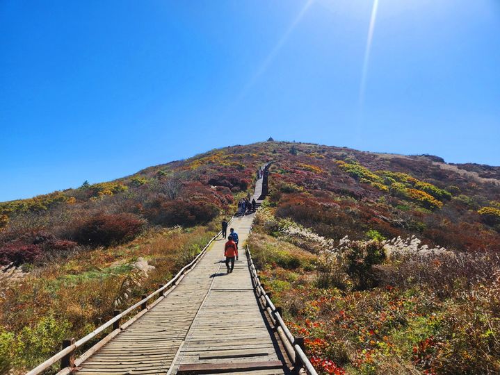 [세종=뉴시스] 지리산 노고단 탐방로를 이용하는 모습(사진=환경부) *재판매 및 DB 금지