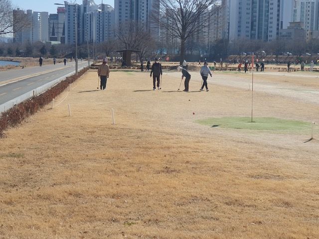 [울산=뉴시스] 울산 태화강 파크골프장 (사진=울산 남구 제공) photo@newsis.com *재판매 및 DB 금지