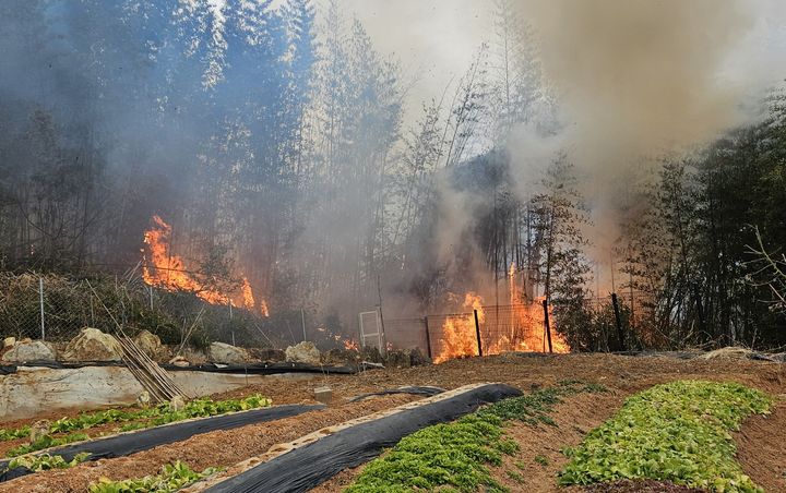 [나주=뉴시스] 27일 오후 4시41분께 전남 나주시 다시면 한 야산에서 불이 나 산림 당국이 진화 작업을 벌이고 있다. (사진 = 전남 나주소방서 제공) 2025.02.27. photo@newsis.com *재판매 및 DB 금지