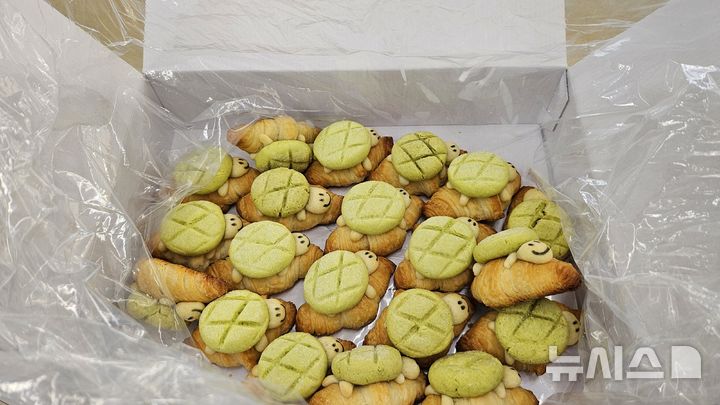 [서울=뉴시스]식품의약품안전처(식약처)는 식품제조·가공업 영업등록 없이 제조된 ‘거북이크루키’ 등 3개 제품을 판매 중단하고 회수 조치한다고 27일 밝혔다. (사진= 식약처 제공) 2025.02.27. photo@newsis.com. 