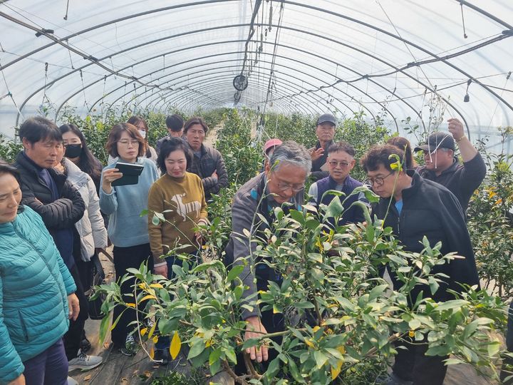 [진주=뉴시스]경남농업기술원, 아열대 과수 재배 교육.(사진=경남농업기술원 제공).2025.02.28.photo@newsis.com *재판매 및 DB 금지