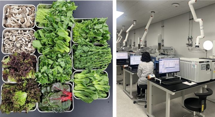 [서울=뉴시스] 농산물 잔류농약 검사 사진. 2025.02.28 (사진 제공=서울시) photo@newsis.com *재판매 및 DB 금지