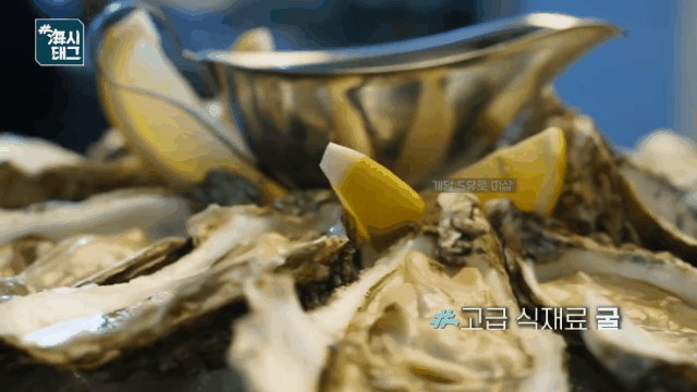 (출처=해양수산부 공식 유튜브 채널) *재판매 및 DB 금지