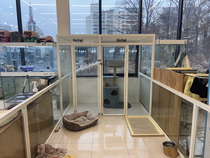 [서울=뉴시스] 송파구 소재의 한 반려동물 위탁소. 2025.03.01 (사진 제공=송파구청) photo@newsis.com *재판매 및 DB 금지