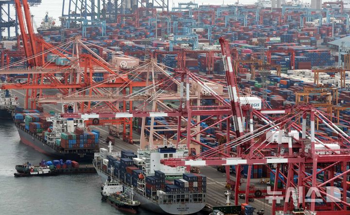 [부산=뉴시스] 하경민 기자 = 2일 부산 남구 감만부두에서 수출입 컨테이너 선적 및 하역작업이 진행되고 있다. 2025.03.02. yulnetphoto@newsis.com