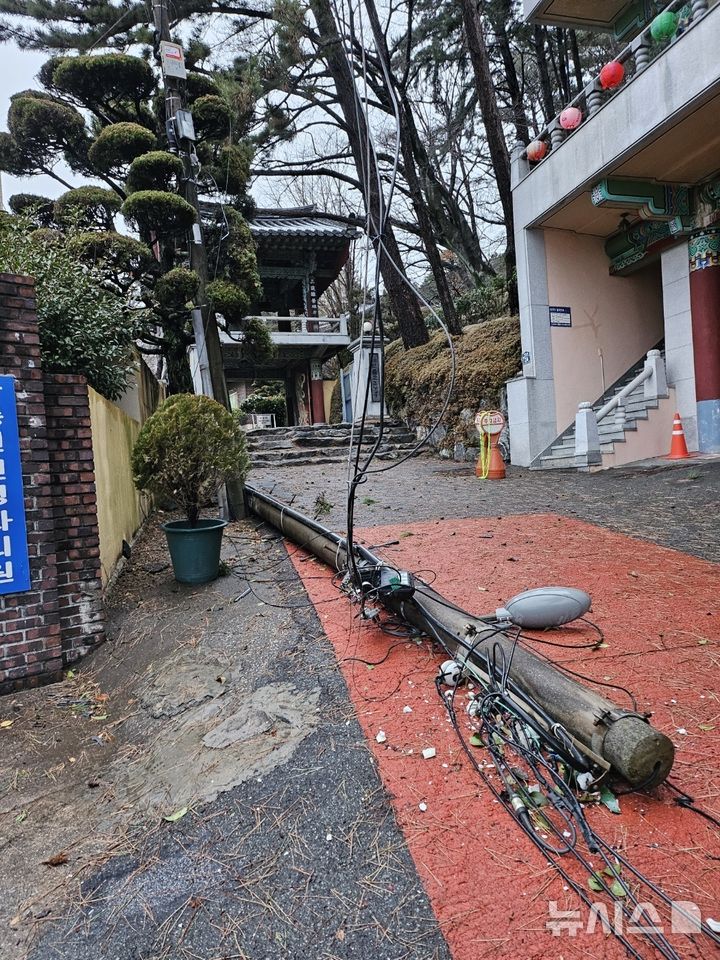 [부산=뉴시스] 강풍특보가 내려진 3일 오전 부산 해운대구 거리에 전봇대가 쓰러졌다는 신고가 접수돼 소방이 안전조치에 나섰다. (사진=부산소방재난본부 제공) 2025.03.03. photo@newsis.com *재판매 및 DB 금지