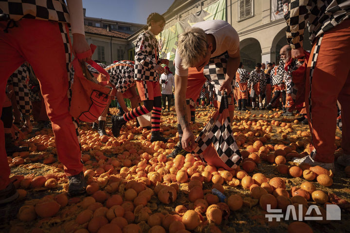 [이브레아=AP/뉴시스] 3일(현지 시간) 이탈리아 북부 피에몬테주 이브레아에서 카니발의 일환으로 '오렌지 전투'가 열려 참가자들이 오렌지를 주우며 전투 준비를 하고 있다. 12세기 봉건시대에 비올레타라는 평민 여성이 자신에게 '초야권'을 행사하려던 영주의 목을 베면서 민중 봉기를 촉발한 것이 '오렌지 전투'의 기원으로 알려져 있다. 축제에 사용되는 오렌지는 식용에 부적합한 것들로 후에 퇴비로 이용된다. 2025.03.04.