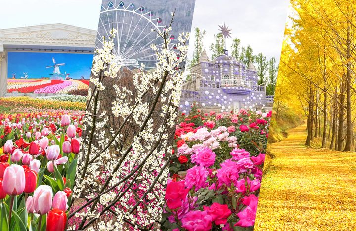 에버랜드 사계절 정원 구독 서비스 '가든패스'(사진=에버랜드 제공) *재판매 및 DB 금지