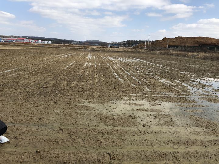 [세종=뉴시스] 배수불량으로 물이 고여있는 모습. (사진=농촌진흥청 제공) *재판매 및 DB 금지