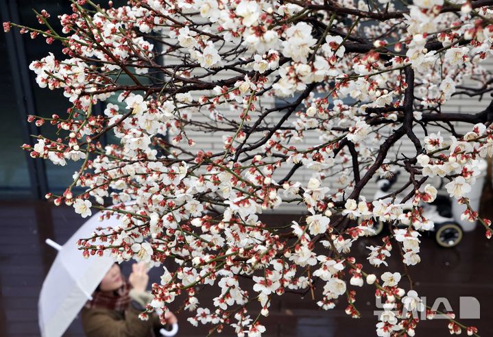 부산, 대체로 흐리고 비…예상 강수량 10~40㎜