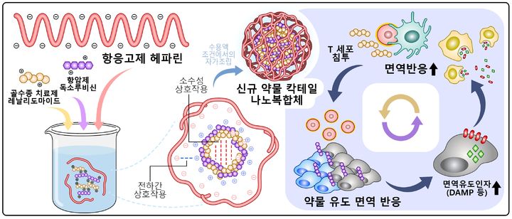고형암 치료용 나노복합체(HepDL)의 연구 도식. (사진=경희대 제공) *재판매 및 DB 금지