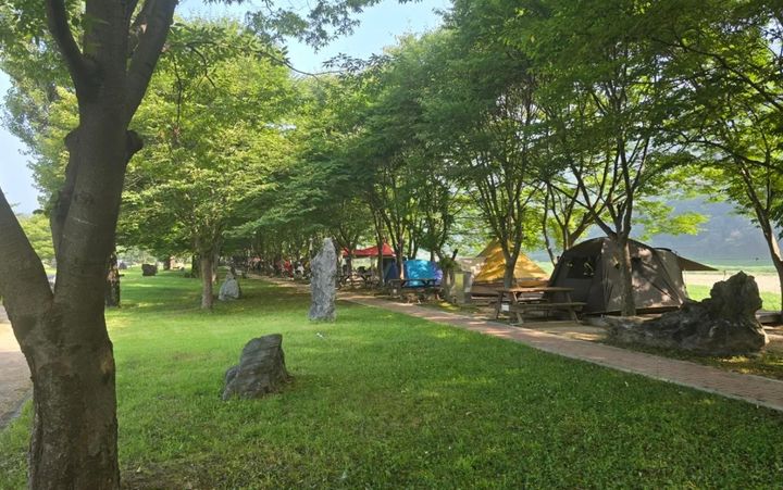 [서산=뉴시스] 캠핑. (사진=뉴시스 DB). photo@newsis.com *재판매 및 DB 금지