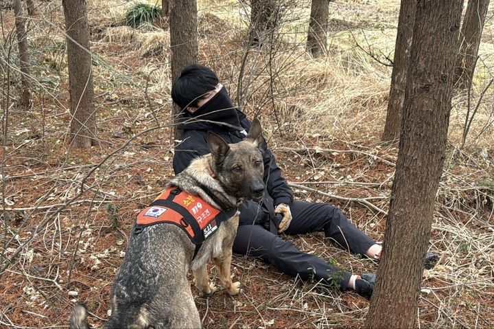 경남119특수대응단 119구조견의 실종자 수색훈련.(사진=경남소방본부 제공) 2025.03.05. *재판매 및 DB 금지