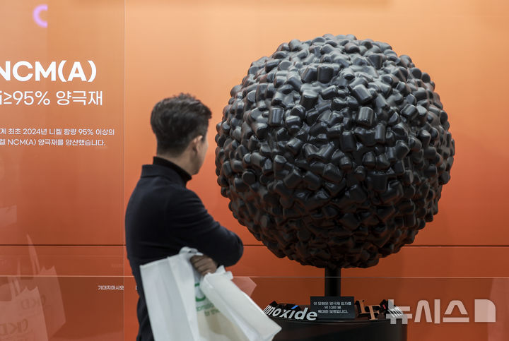 [서울=뉴시스] 정병혁 기자 = 5일 서울 강남구 코엑스에서 열린 인터배터리 2025를 찾은 참관객들이 양극재를 살펴보고 있다. 2025.03.05. jhope@newsis.com