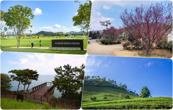 윗줄 왼쪽부터 시계방향으로 순천 오천 그린광장, 장흥 하늘빛 수목원, 보성 대한다원, 고흥 미르전망대. (사진=전남도 제공) *재판매 및 DB 금지