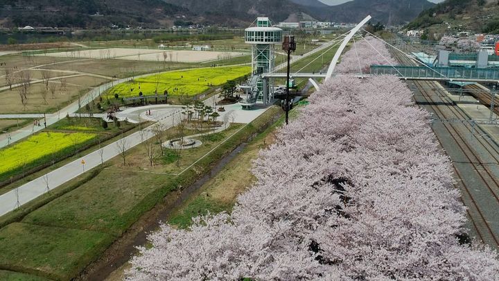 [양산=뉴시스] 양산 황산공원 전경. (사진=양산시 제공) 2025.03.06. photo@newsis.com *재판매 및 DB 금지