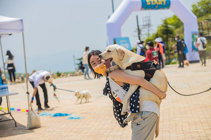지난 2022년 실시된 하이원리조트 댕댕트레킹 모습.(사진=하이원리조트 제공) *재판매 및 DB 금지