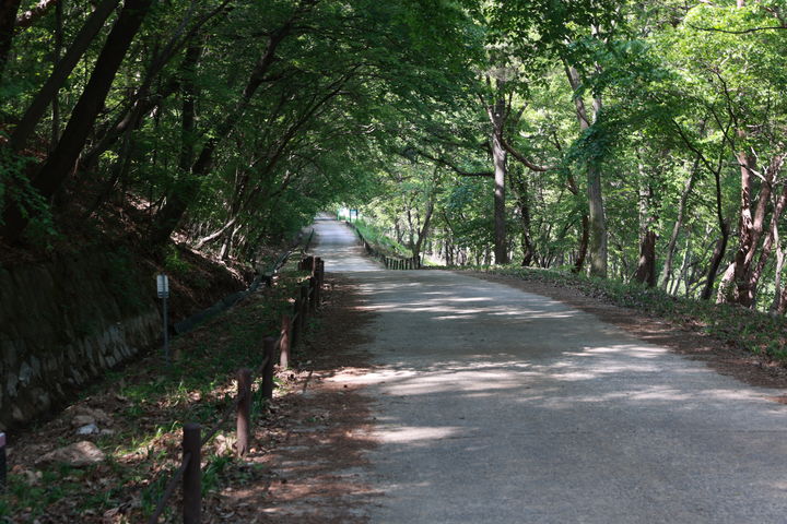 [계룡=뉴시스]계룡시는 이달부터 오는 11월까지 계룡의 전설이 담긴 숨은 명소 '계룡안보생태탐방로' 운영에 나선다. (사진=계룡시 제공) 2025. 03. 06 photo@newsis.com *재판매 및 DB 금지
