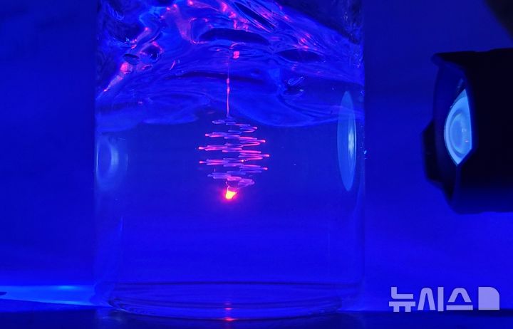 [용인=뉴시스] 하이드로젤 내부에 3D 프린팅된 먹장어 모사 섬유 구조체(사진=단국대 제공)2025.03.07. photo@newsis.com