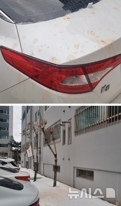 [서울=뉴시스] 아파트 지상 주차장에 차를 주차했다가 음식물 테러를 당했다는 사연이 전해졌다. (사진=중고거래 플랫폼 '당근' 캡처)