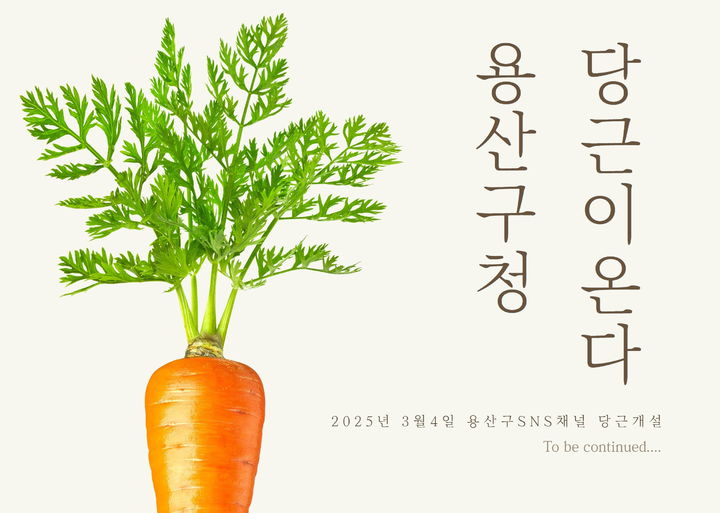 [서울=뉴시스] 용산구 당근 공공프로필. 2025.03.07. (자료=용산구 제공) *재판매 및 DB 금지