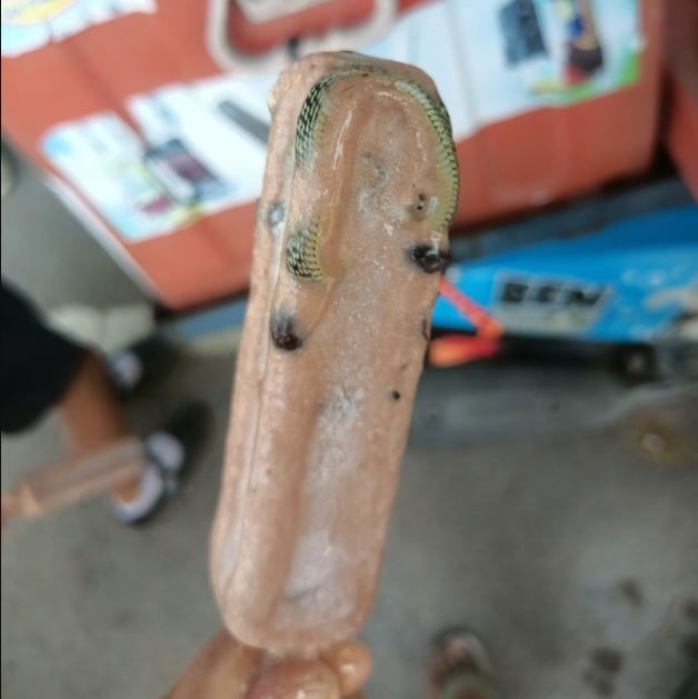 서울=뉴시스] 2025년 3월 4일 페이스북에서 화제가 된 뱀 아이스크림 사진.(사진=페이스북 갈무리) *재판매 및 DB 금지