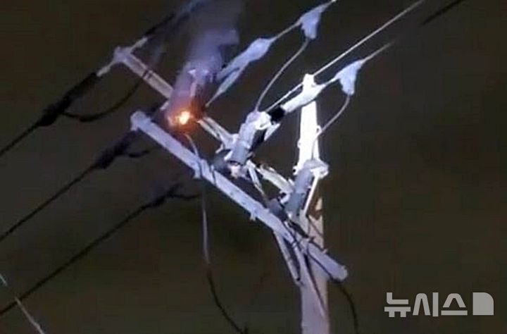 [제주=뉴시스] 7일 오후 제주시 탑동 이마트앞 전신주 변압기에서 불꽃과 연기가 발생해 한동안 일대에 전기공급이 끊겼다. 사진은 불꽃과 연기가 발생한 전신주 모습. (사진=제주도소방안전본부 제공) 2025.03.08. photo@newsis.com *재판매 및 DB 금지