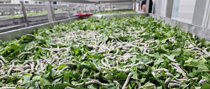 [무안=뉴시스] *재판매 및 DB 금지