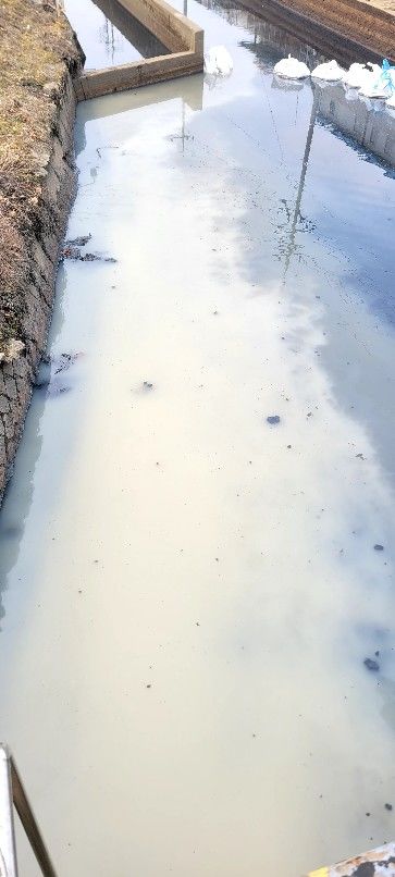 [대구=뉴시스] 8일 대구시 서구 등에 따르면 이날 오전 10시50분께 서구 염색산업단지 인근 공단천 하수관로에 흰색 폐수가 유입됐다는 신고가 접수됐다. (사진=대구시 서구 제공) 2025.03.08. photo@newsis.com *재판매 및 DB 금지