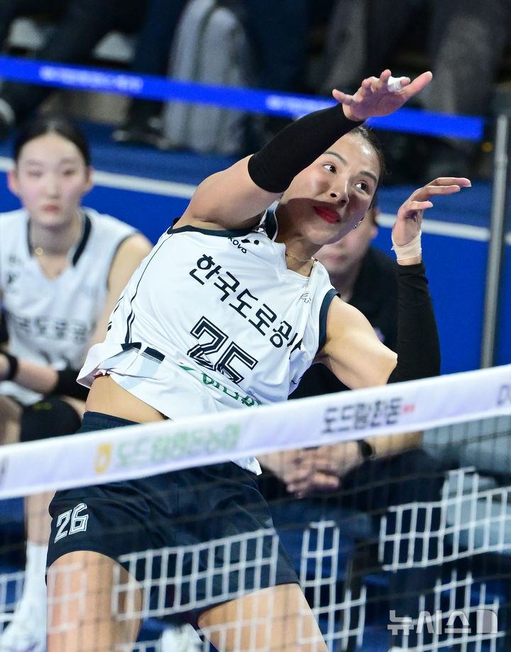 [서울=뉴시스]여자배구 도로공사 타나차. (사진=KOVO 제공)