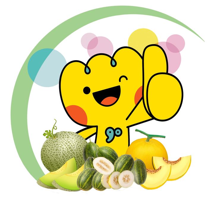 [고령=뉴시스] 파파야 멜론 (사진=고령군 제공) 2025.03.10 photo@newsis.com *재판매 및 DB 금지