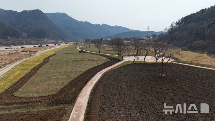 [옥천=뉴시스] 연종영 기자 = 충북 옥천군농업기술센터가 10일 농기계를 동원해 옥천군 동이면 금암리 금강 수변구역 유채꽃 단지를 갈아엎는 경운작업을 벌이고 있다. 옥천군은 2월 한파를 견디지 못하고 얼어죽은 유채를 갈아엎고 새씨앗 300㎏을 재파종하고 있다. 2025.03.10. jyy@newsis.com