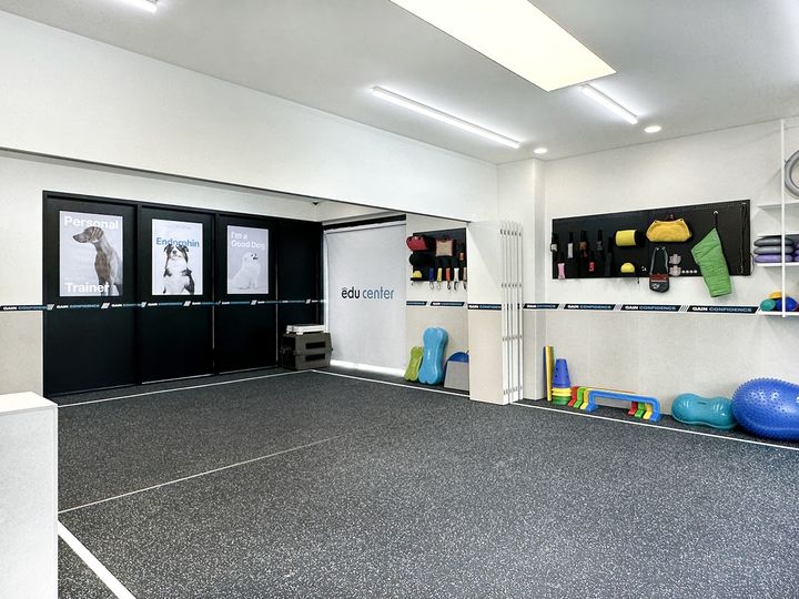 [서울=뉴시스] 하울팟, 도심 속 반려견 맞춤 훈련 공간 '하울팟 에듀센터' 오픈 (사진=대교그룹 제공) 2025.03.10. photo@newsis.com *재판매 및 DB 금지