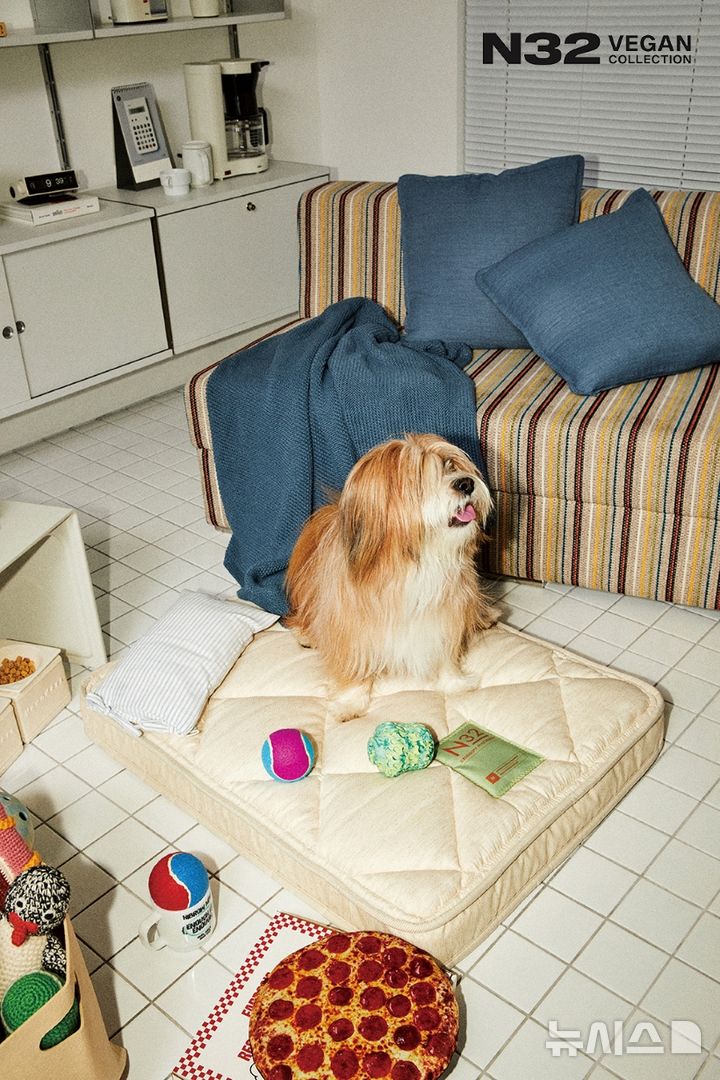 [서울=뉴시스] 시몬스 N32, 펫 매트리스 'N32 쪼꼬미'. (사진= 시몬스 제공) 2025.08.12. photo@newsis.com