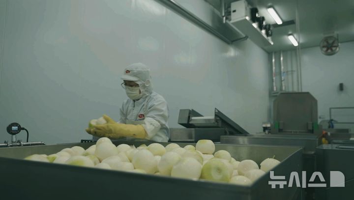 [서울=뉴시스] 전북 익산시의 하림 식품공장 '퍼스트 키친'(First Kichen) K1 공장에서 작업자들이 육수 원재료를 손질하고 있다. K1 공장에서 만들어진 육수는 K3 공장으로 옮겨져 완제품으로 탄생한다. (사진= 하림지주 제공) photo@newsis.com