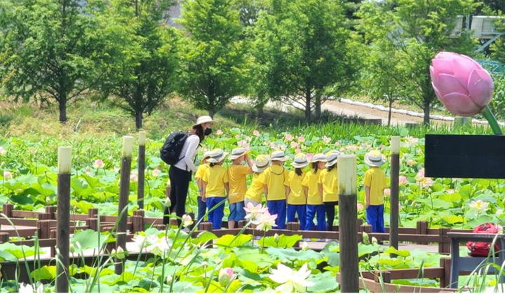 2025년 3월 강릉 가시연습지의 모습. *재판매 및 DB 금지