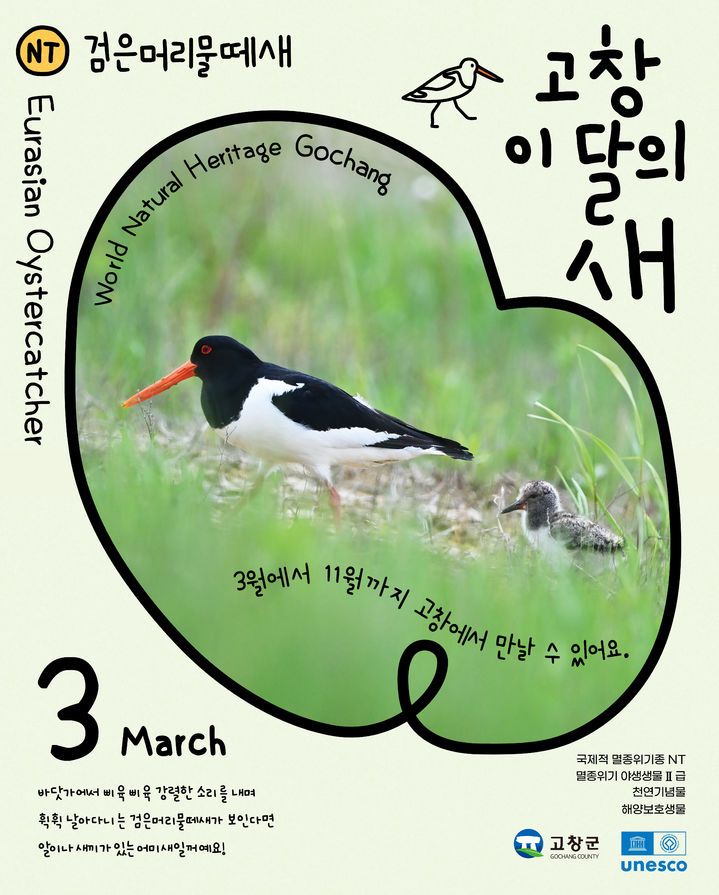  *재판매 및 DB 금지