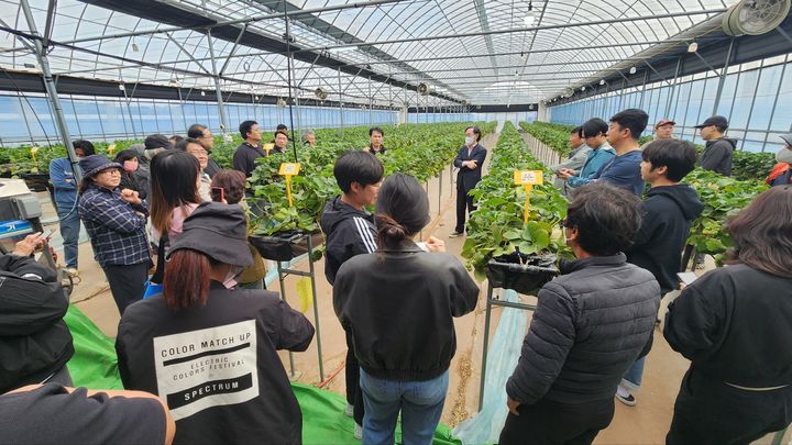 [밀양=뉴시스] 지난해 딸기 6차산업대학 교육생들이 현장 수업에 참여하고 있다. (사진=밀양시 제공) 2025.03.11. photo@newsis.com *재판매 및 DB 금지