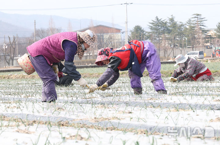 전북 오후 곳곳 빗방울…낮 12~15도 흐림 