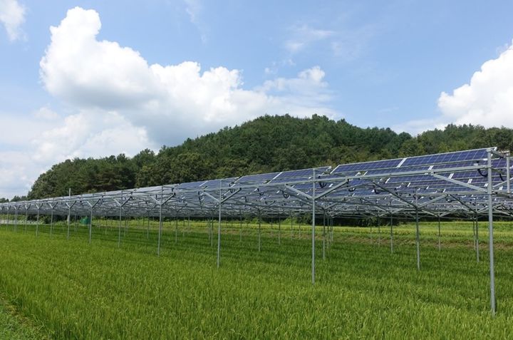 [안동=뉴시스] 영농형 태양광 시설 (사진=뉴시스 DB) 2025.07.11 photo@newsis.com *재판매 및 DB 금지