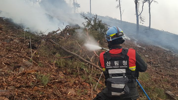 [공주=뉴시스] 산불 진화 모습. (사진=산림청 제공) 2025.3.11 photo@newsis.com *재판매 및 DB 금지