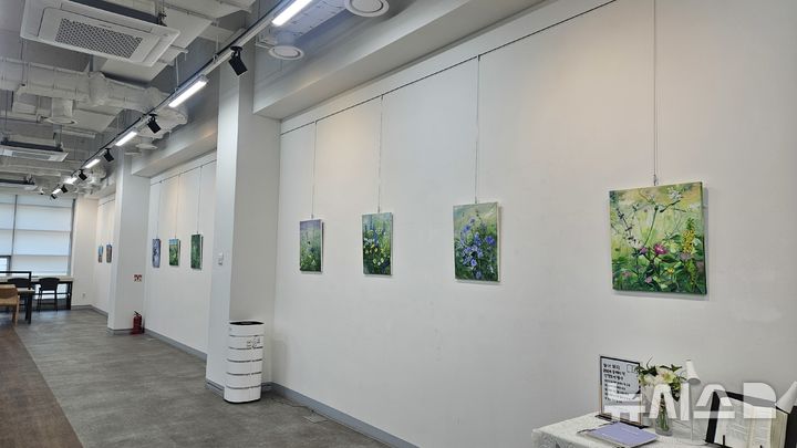 [용인=뉴시스] 수지도서관의 '스케치북을 열다' 전시회(사진=용인시 제공) 2025.03.12. photo@newsis.com