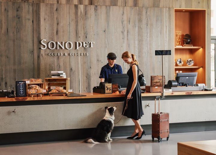 소노펫 비발디파크 랜선위크 기획전.(사진=소노인터내셔널 제공) *재판매 및 DB 금지