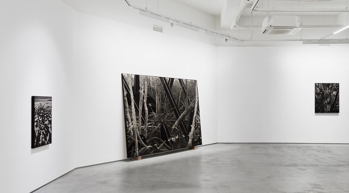 박현주 미술전문기자=G Gallery 마리안토 개인전 전경. 2025.03.12. hyun@newsis.com *재판매 및 DB 금지