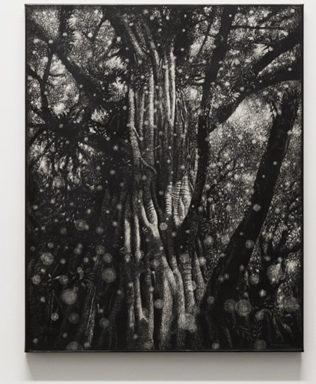 Maryanto Breathe, Banyan tree(Lake Tamblingan, Bali), 2025, Sgraffito and acrylic on canvas,100 x 80 cm *재판매 및 DB 금지