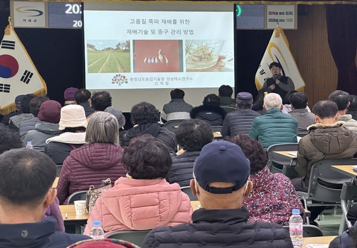 [부산=뉴시스] 기장군농업기술센터에서 관내 쪽파 재배 농업인을 대상으로 고품질 쪽파 기술 교육이 진행되고 있다. (사진=부산 기장군 제공) 2025.03.12. photo@newsis.com *재판매 및 DB 금지