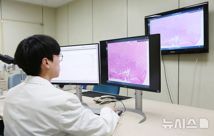 [서울=뉴시스]한림대학교의료원은 국내 최초로 산하 4개 병원을 아우르는 ‘의료원 통합 디지털 병리 시스템(Digital Pathology)’을 구축하고 지난 4일부터 본격적인 운영에 들어갔다고 13일 밝혔다. (사진= 한림대의료원 제공) 2025.03.13. photo@newsis.com. 