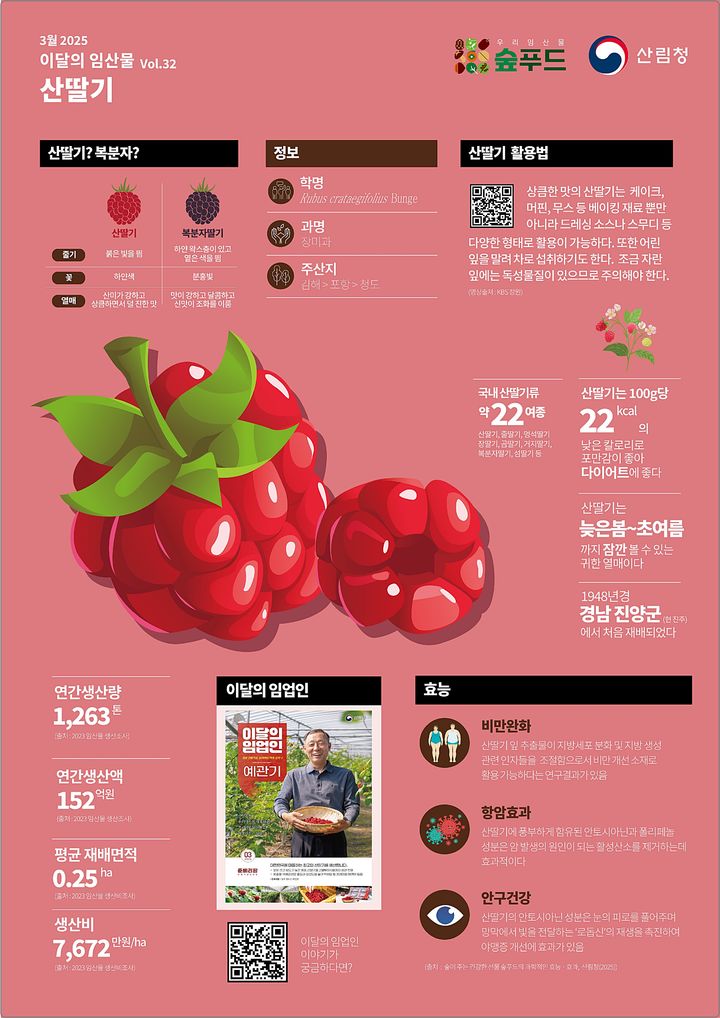 [대전=뉴시스] 산림청은 3월 이달의 임산물로 상큼한 맛에 기력회복제인 산딸기를 선정했다.(사진=산림청 제공) *재판매 및 DB 금지
