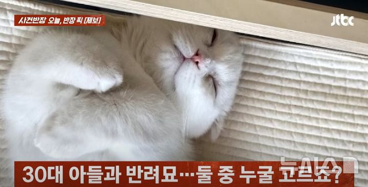 [서울=뉴시스] (사진=JTBC '사건반장' 캡처)